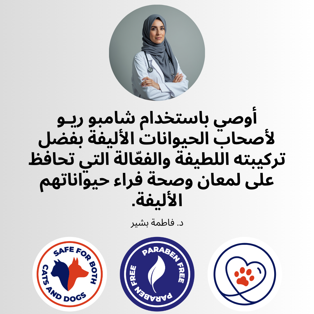 image_ar