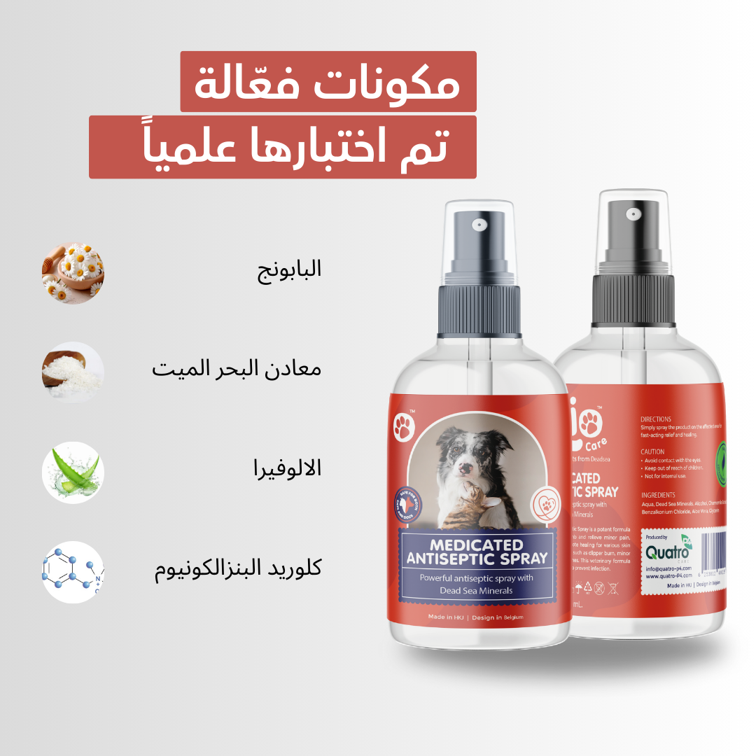 image_ar