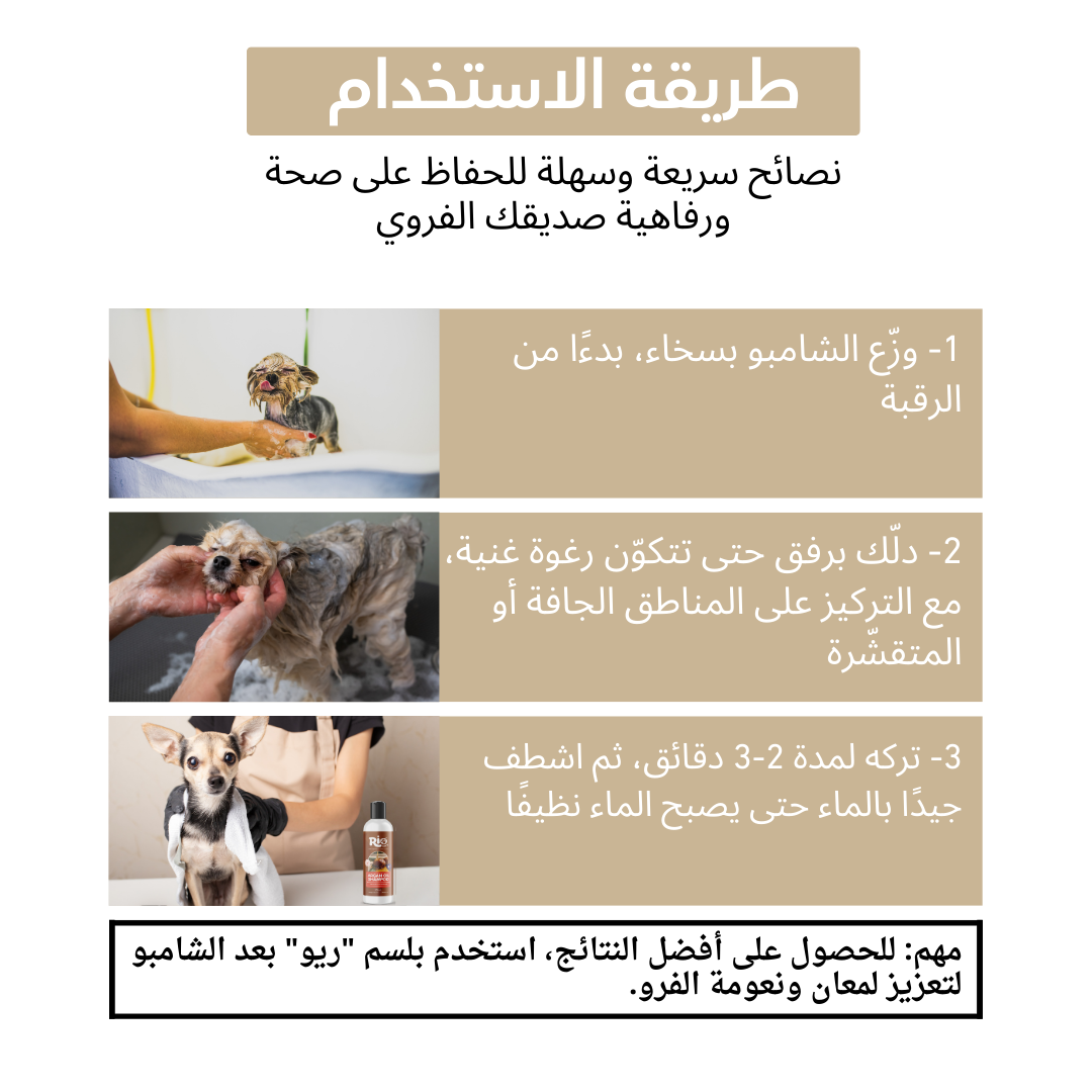 image_ar